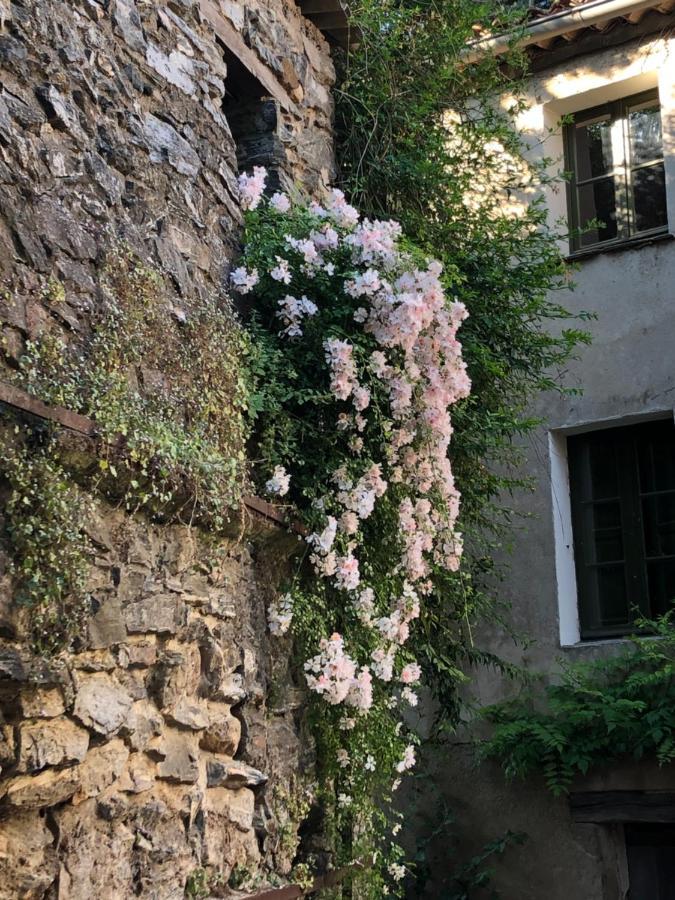 La Provence Authentique A 30 Minutes Des Plages Collobrieres Exterior photo