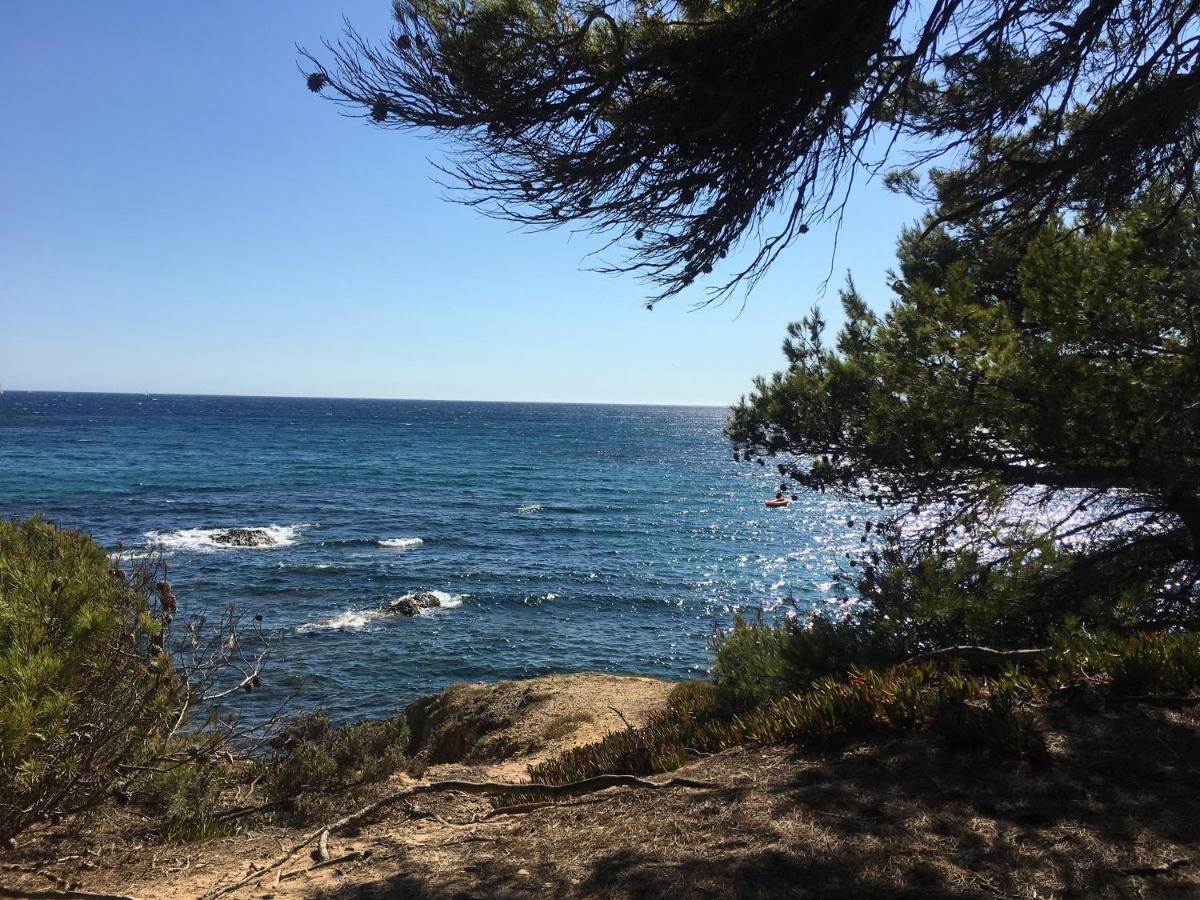 La Provence Authentique A 30 Minutes Des Plages Collobrieres Exterior photo