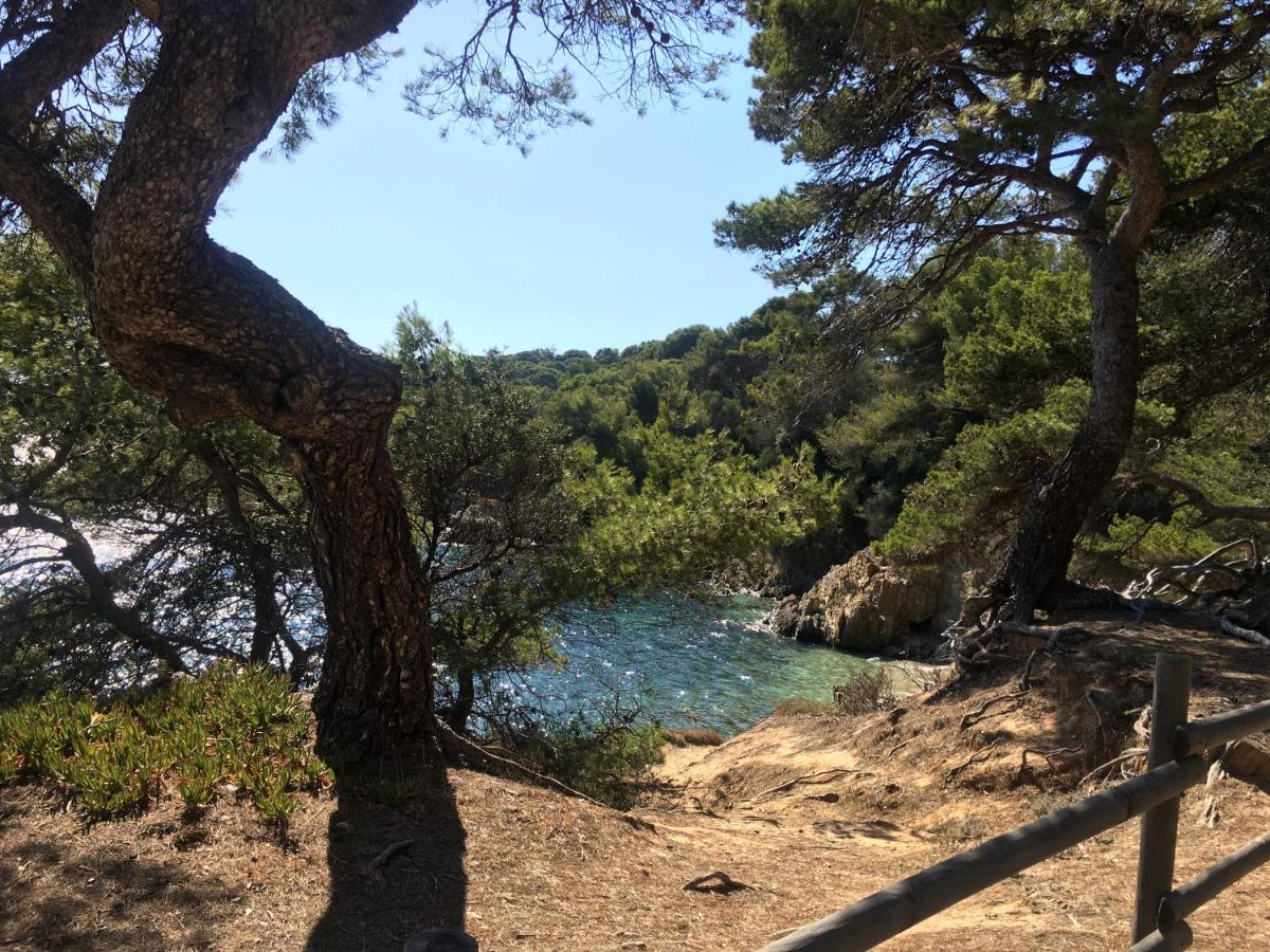 La Provence Authentique A 30 Minutes Des Plages Collobrieres Exterior photo